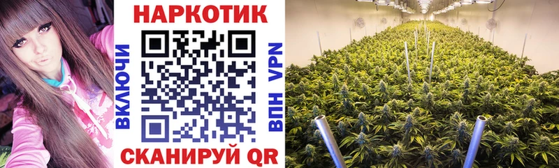 Купить ГАШИШ  Alpha-PVP  АМФ  МАРИХУАНА  МЕФ  Ильский