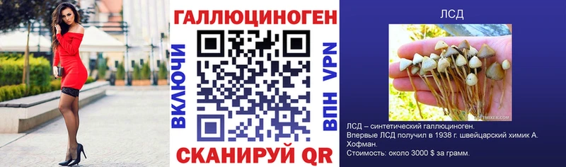 Купить закладки  Ильский  Псилоцибиновые грибы прущие грибы 